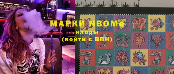 эйфоретик Болотное